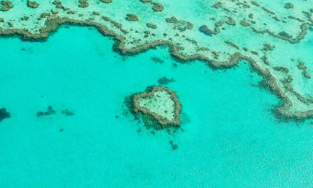 Stories to Inspire: Conservation Wins from Around the World