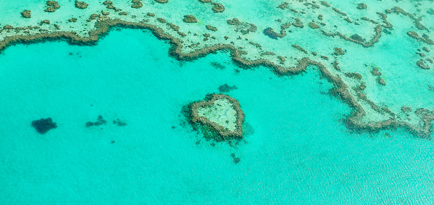 Heart Reef at the Great Barrier Reef, Queensland in Australia