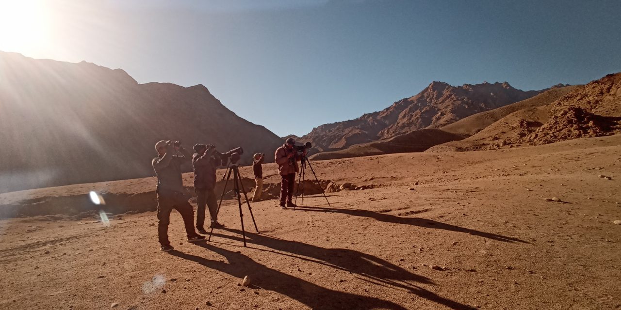 Travel Tale: Spotting Snow Leopards in the Sham Valley