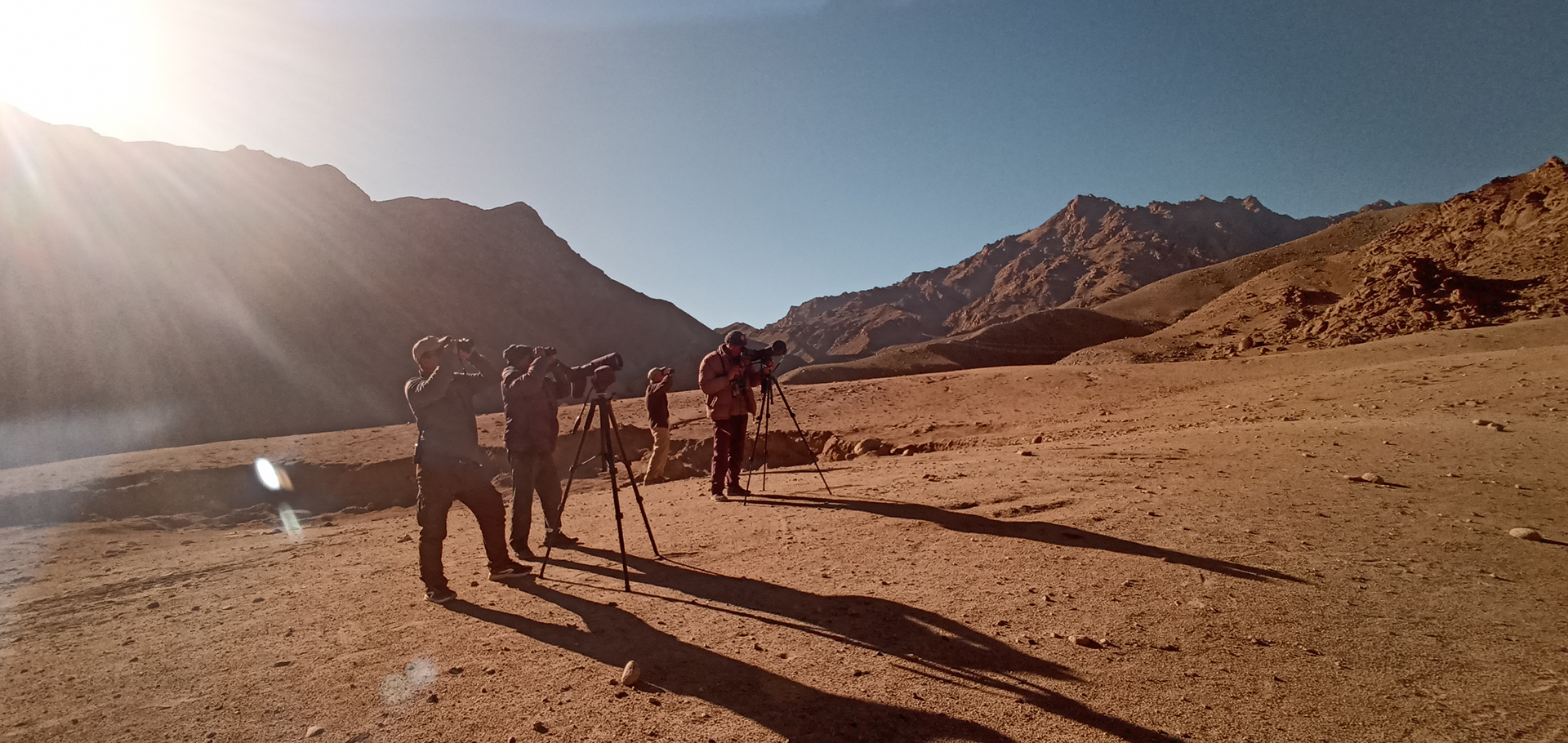 Guests use telescopes, binoculars to spot wildlife at sunset.