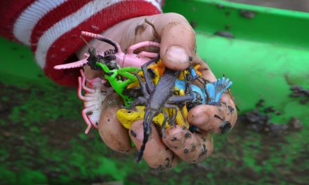 Nature Play Is Okay, But Messy, Risky Play Is Tricky