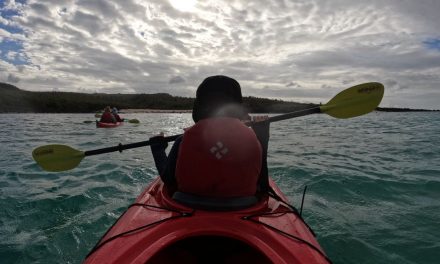 Five Reasons You Should Book a Family Trip with Nat Hab