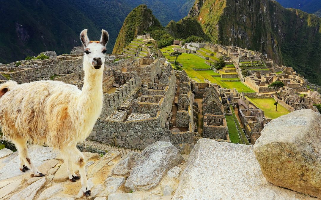 New Trip! Delve Deep Into Wild Peru