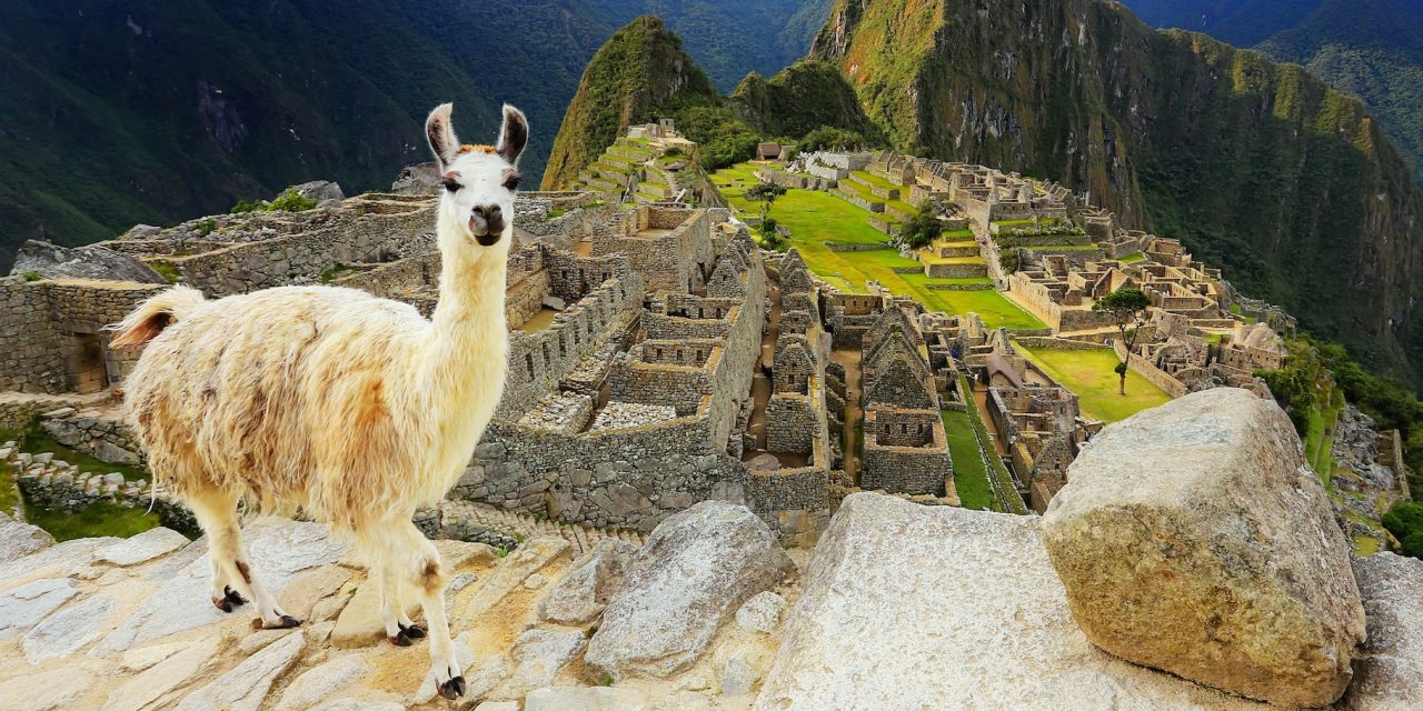 New Trip! Delve Deep Into Wild Peru