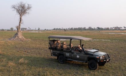 Natural Habitat Adventures Among the First to Deploy A Solar-Powered Electric Safari Vehicle in Botswana