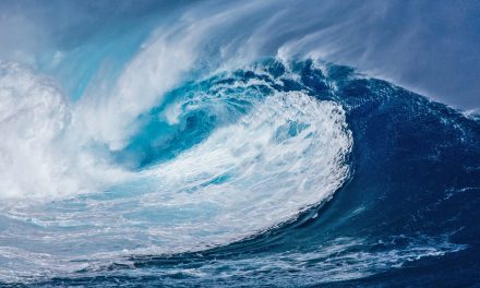 Plants Could Solve the Microplastics Problem