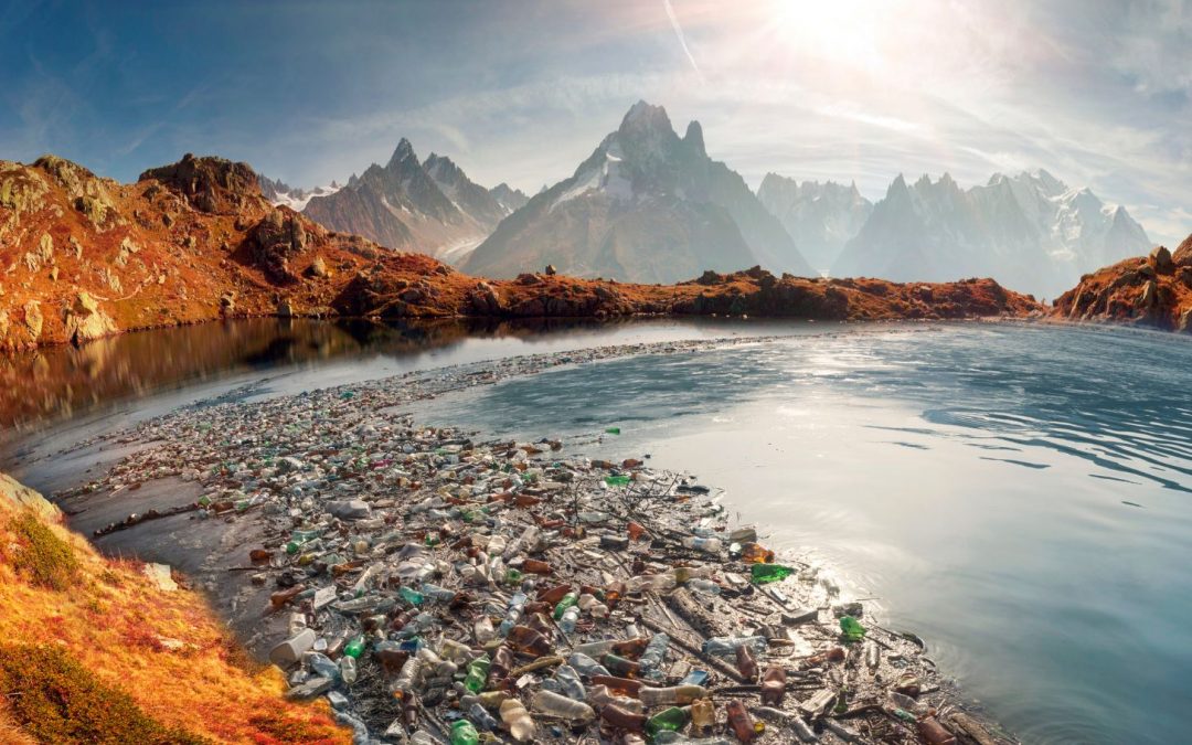 The Truth About Plastic Pollution and How We Can Stop It