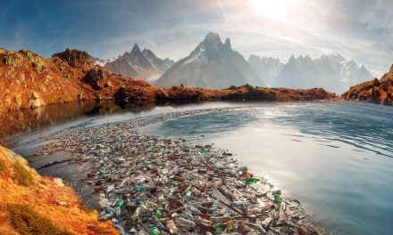 The Truth About Plastic Pollution and How We Can Stop It