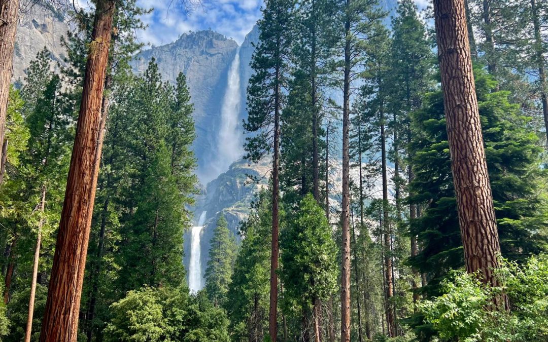 Yosemite National Park: California’s Crown Jewel