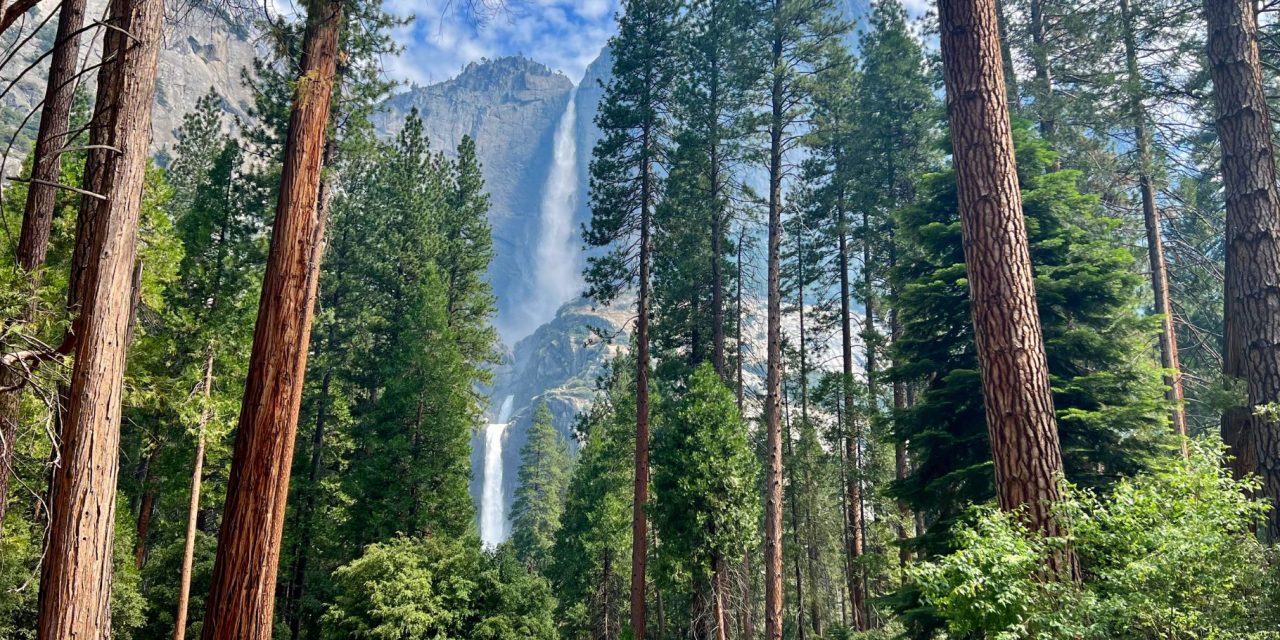 Yosemite National Park: California’s Crown Jewel
