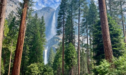 Yosemite National Park: California’s Crown Jewel