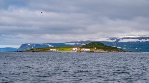 Vigur Island from the water. The small island used to be somewhat of a central hub and housed government officials from time to time.