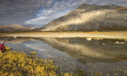 Canceled Oil Leases in a Quickly Changing Arctic