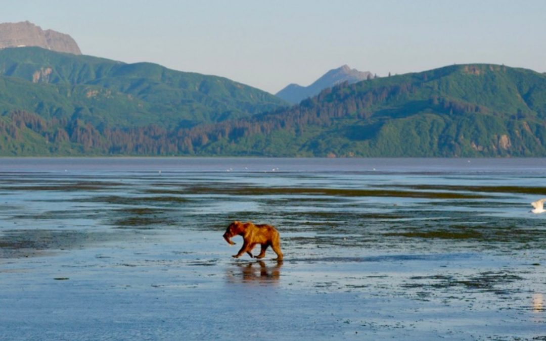 Southwest Alaska: Conservation Wins and Travel Awes