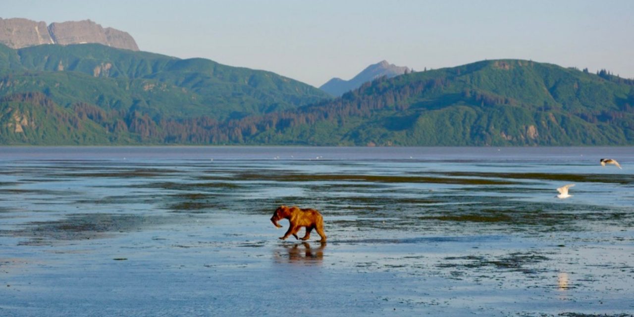 Southwest Alaska: Conservation Wins and Travel Awes