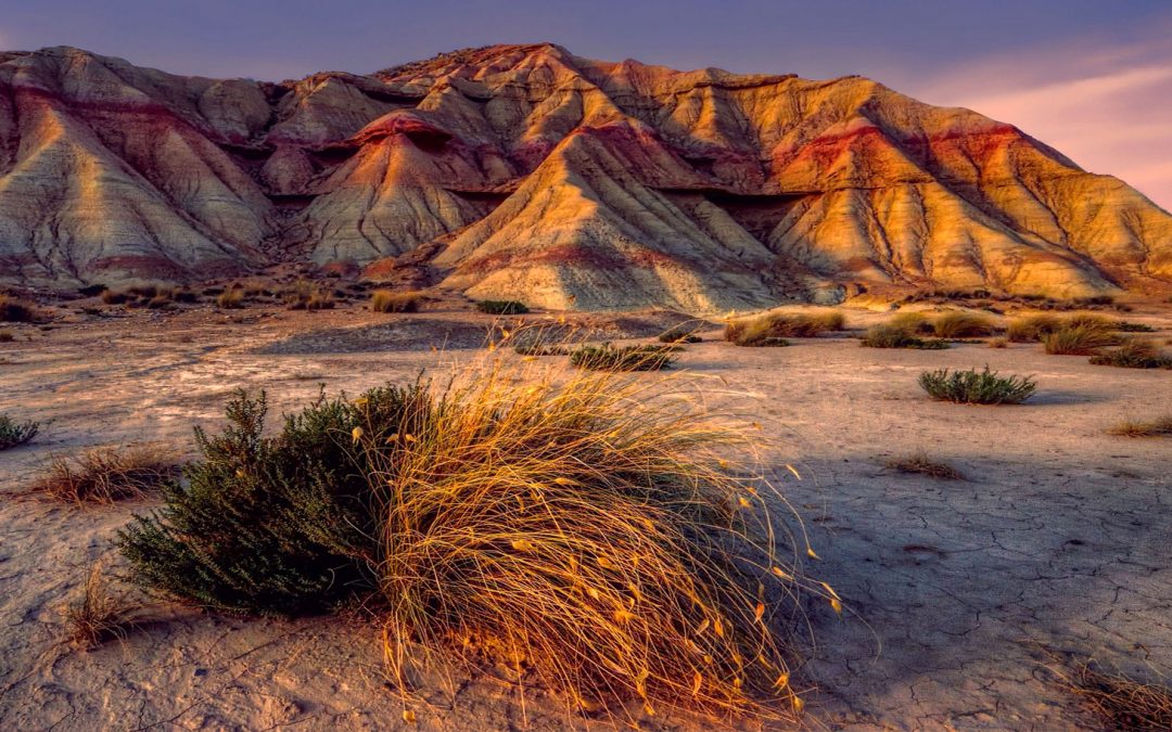 Nine Nature-Inspired Fixes for Environmental Needs