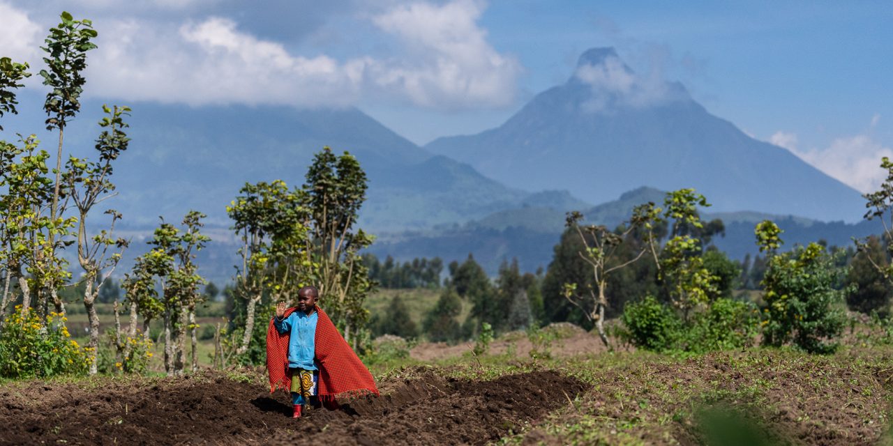 Nat Hab Philanthropy’s Summer 2023 Projects Support Wildlife, Reforestation & Conservation Education