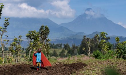 Nat Hab Philanthropy’s Summer 2023 Projects Support Wildlife, Reforestation & Conservation Education