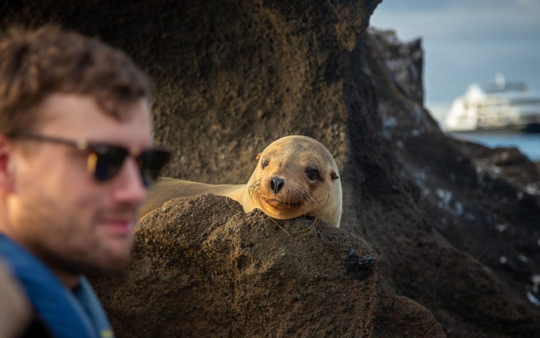 The Galapagos Islands: A Symphony of Biodiversity