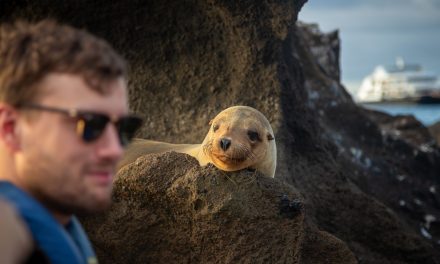 The Galapagos Islands: A Symphony of Biodiversity