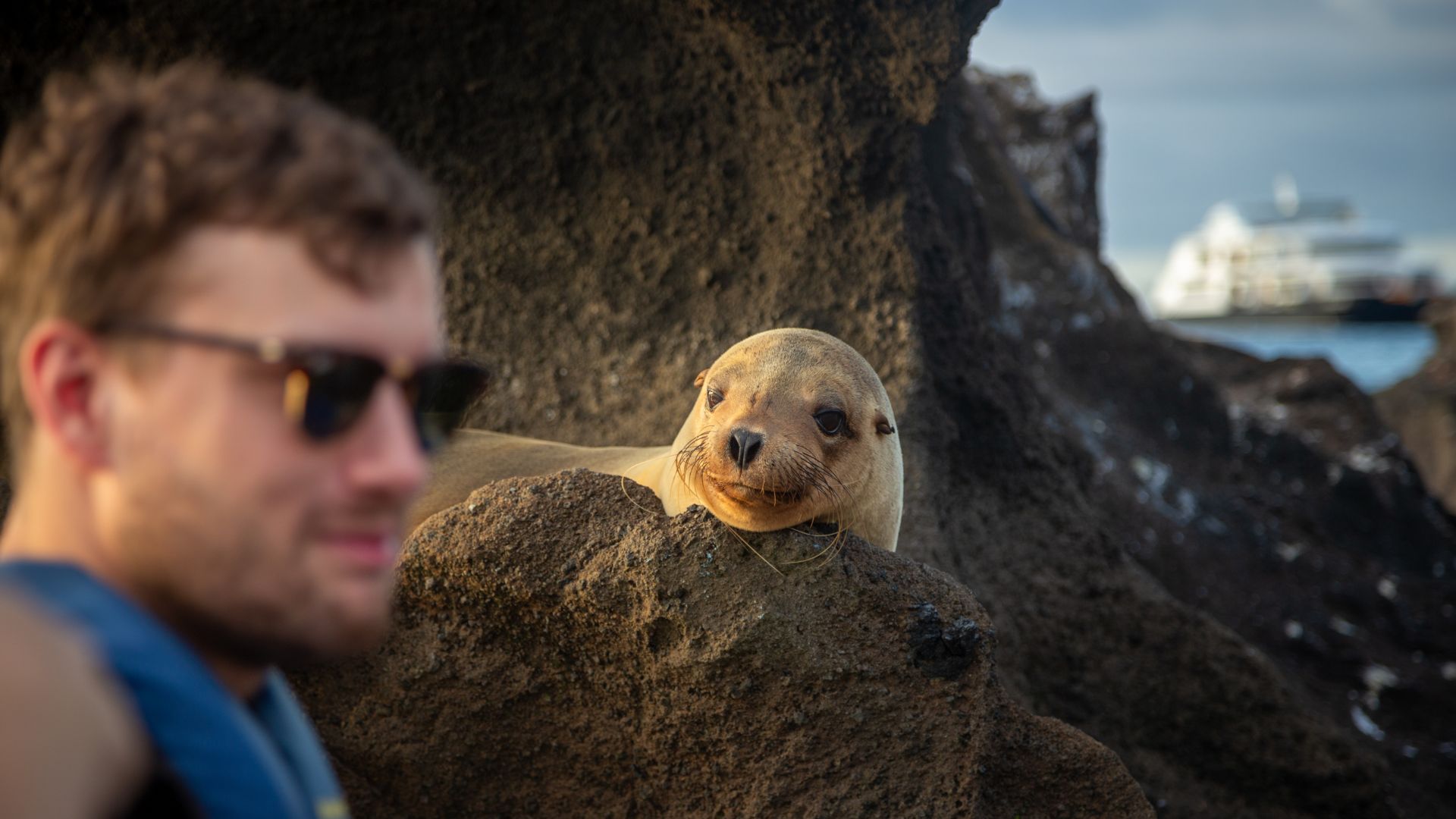 Sea lion and person in Galapagos