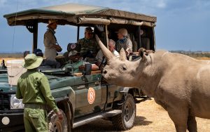 Rhino Camp Ol Pejeta Conservancy