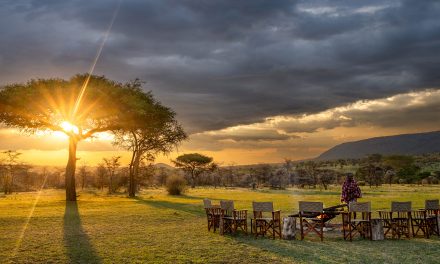 5 Ways an African Safari Contributes to More Sustainable Travel