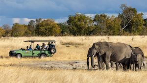 Nat Hab Safari Vehicle Zimbabwe game drive elephants