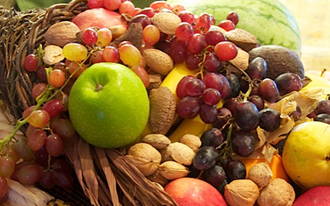 Thanksgiving: Eating with Gratitude Connects You to Nature