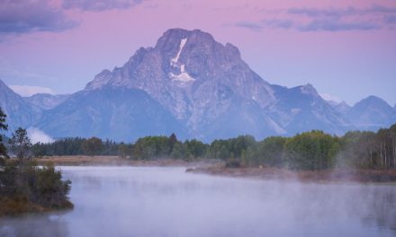 Why National Parks Matter (And How You Can Help Protect Them)