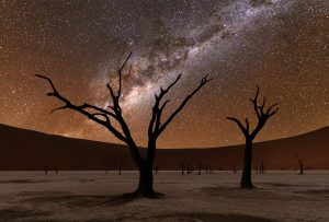 astrophotography sand dunes dead tree Namibia Namib desert milky way night
