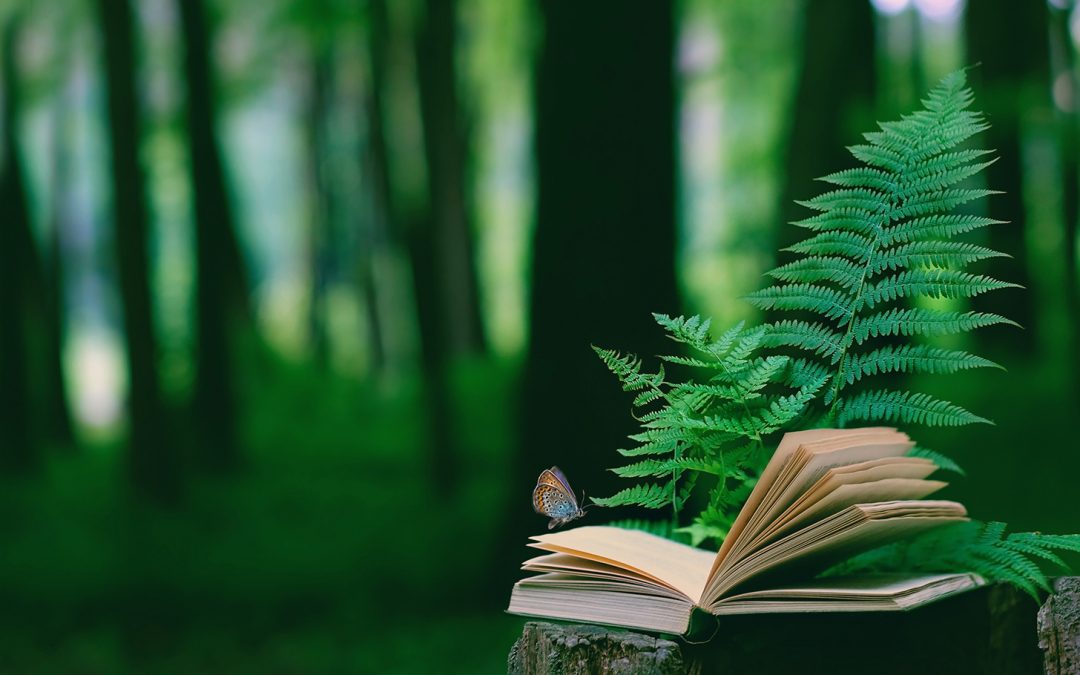 Nature Reads for the Holiday Season by Nat Hab’s Expedition Leaders