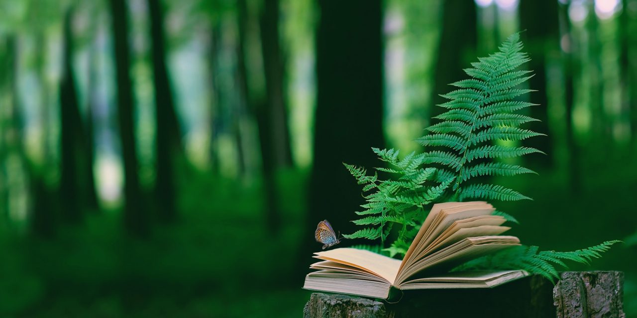 Nature Reads for the Holiday Season by Nat Hab’s Expedition Leaders