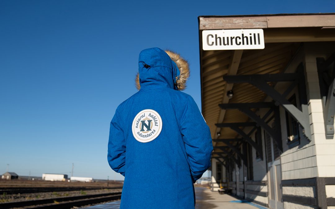 The Reincarnation of Churchill’s ‘Cookie Lady’: A Nat Hab Traveler Story
