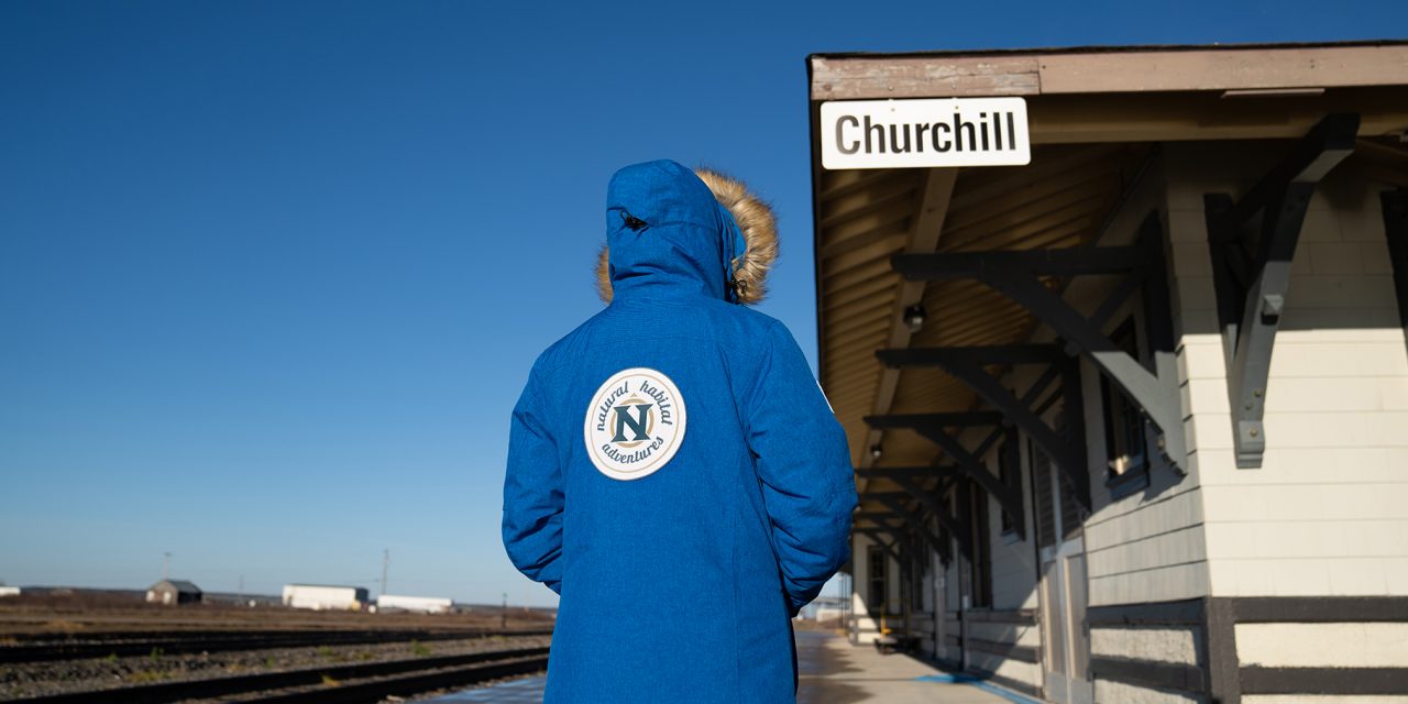 The Reincarnation of Churchill’s ‘Cookie Lady’: A Nat Hab Traveler Story