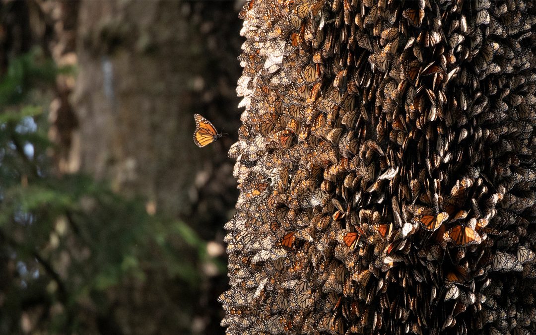 Nat Hab’s 2023 Sustainability Report Shows We Really Do Have the Power to Change the World