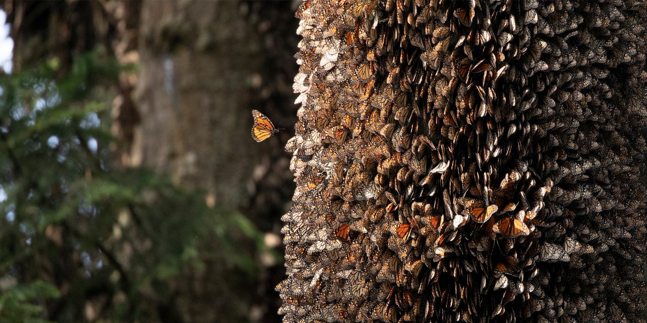 Nat Hab’s 2023 Sustainability Report Shows We Really Do Have the Power to Change the World