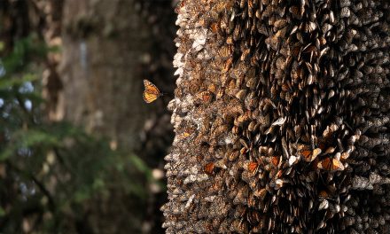 Nat Hab’s 2023 Sustainability Report Shows We Really Do Have the Power to Change the World