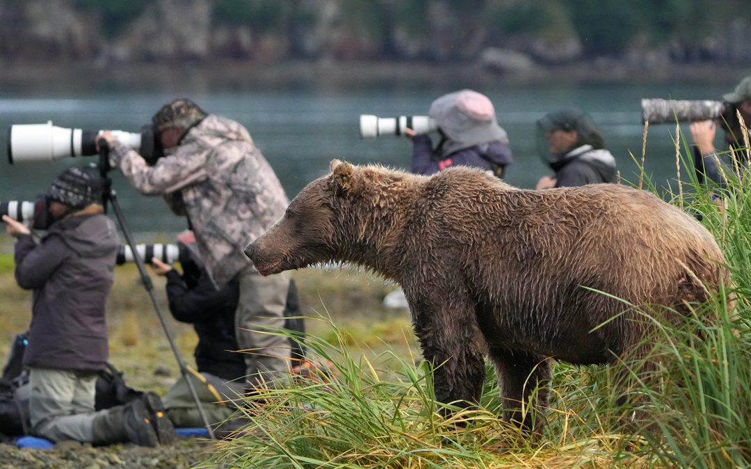 What’s New at Nat Hab: Expeditions, Wildlife Updates and Our First Sustainability Report