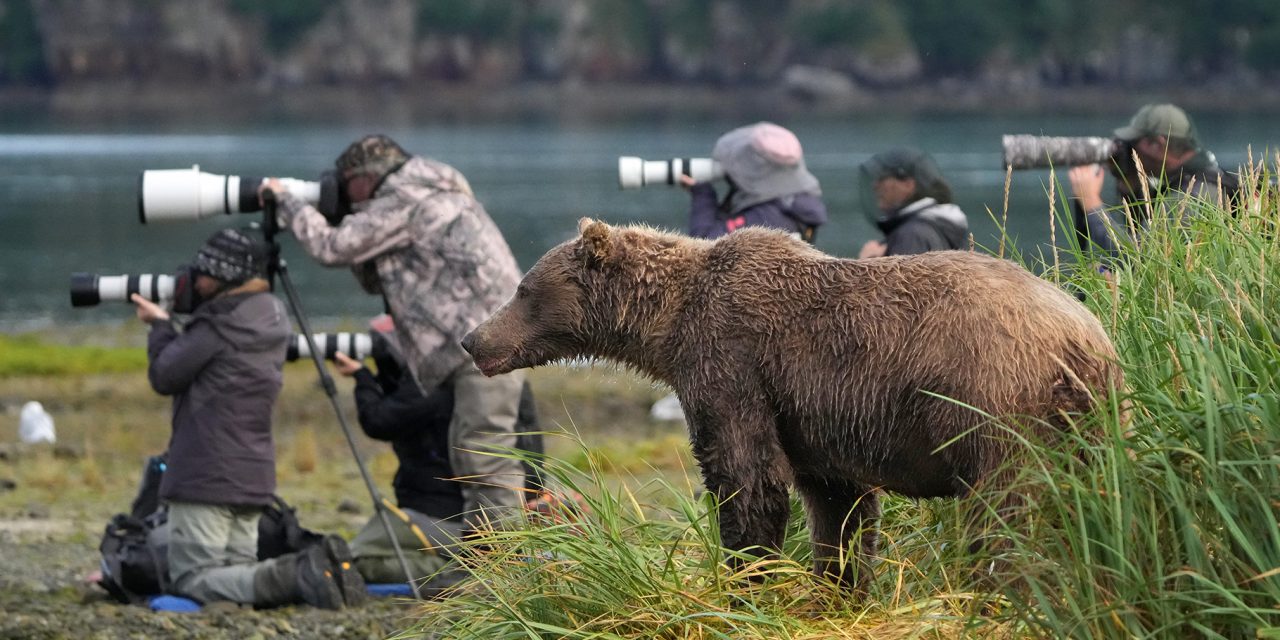 What’s New at Nat Hab: Expeditions, Wildlife Updates and Our First Sustainability Report