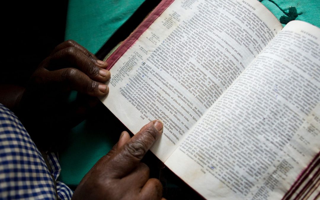 A Wild Reading List: A Compilation from Explorers & Experts