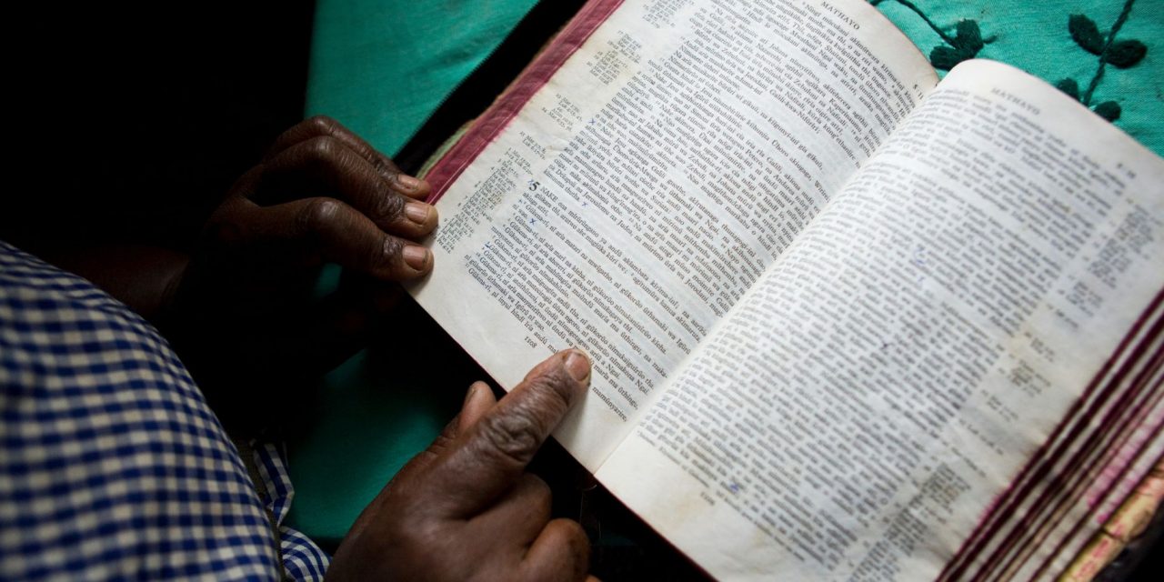 A Wild Reading List: A Compilation from Explorers & Experts