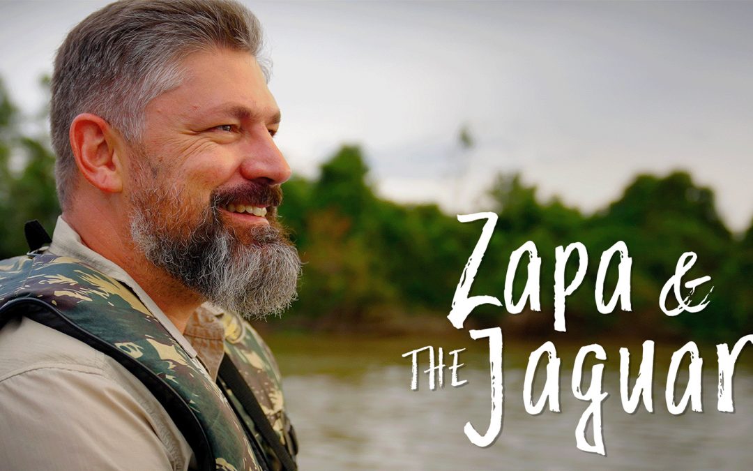 New Film Zapa & the Jaguar
