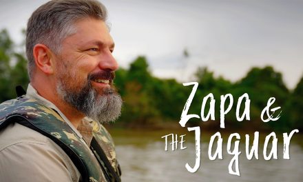 New Film Zapa & the Jaguar