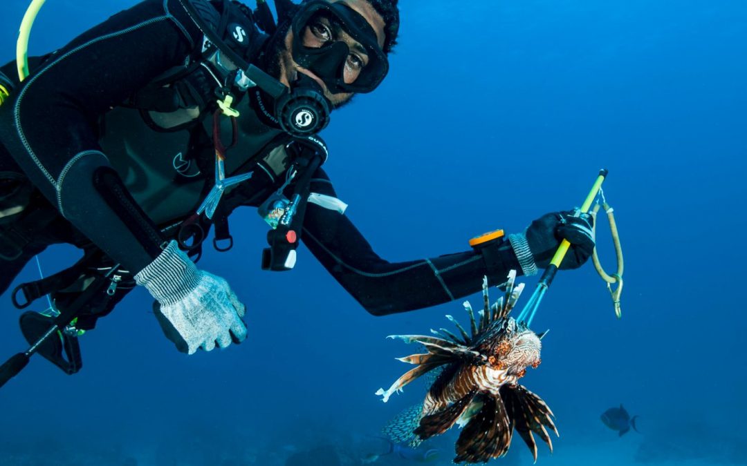 Understanding Invasive Species: A Conservation Imperative