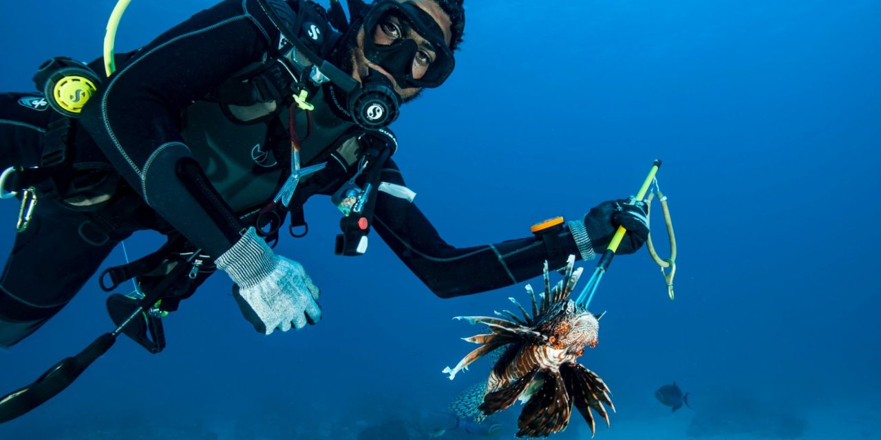 Understanding Invasive Species: A Conservation Imperative