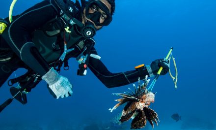 Understanding Invasive Species: A Conservation Imperative