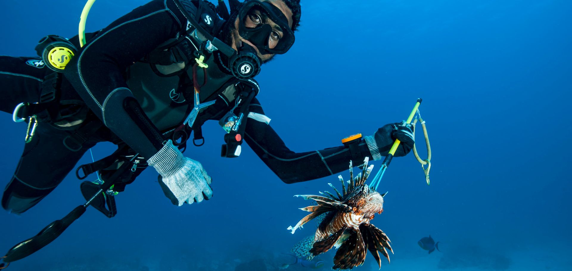Catching a lionfish in the Bahamas