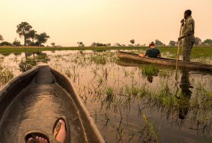 Nat Hab guests experience the magic of the Okavango Delta on poled mokoro rides in traditional dugout canoes.
