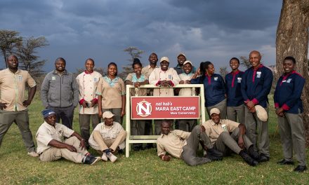 How to Choose the Right African Safari for You